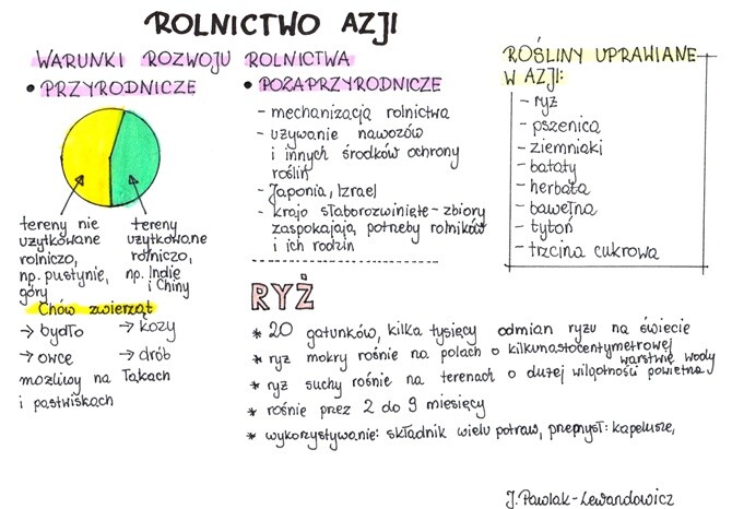Rolnictwo w Azji - sketchnotka