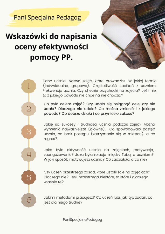 Ocena efektywności pomocy PP. Ulotka.