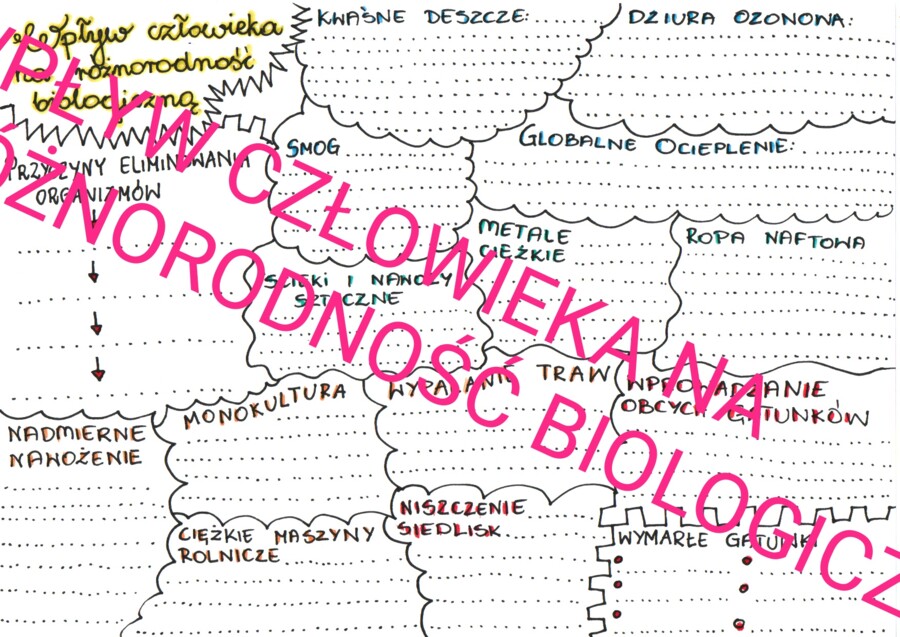 Wpływ człowieka na różnorodność biologiczną