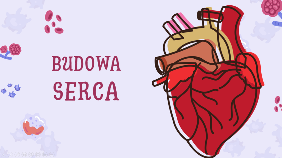 Prezentacja z układu krwionośnego - Budowa i działanie serca - klasa 7 SP - plik do pobrania