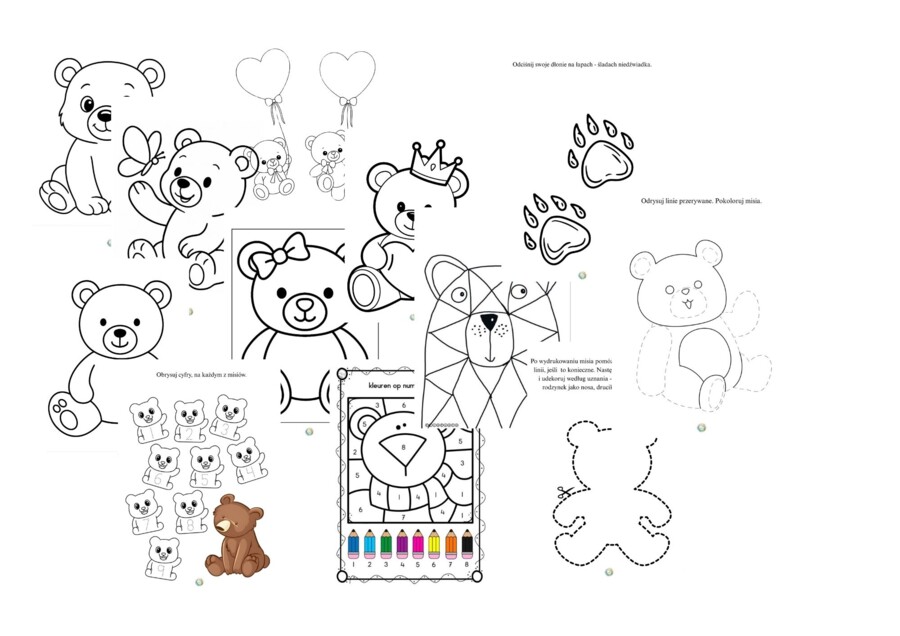 DZIEŃ PLUSZOWEGO MISIA