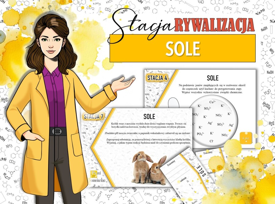 Stacja: RYWALIZACJA! Klasa 8. Chemia. Sole. Powtórzenie wiadomości. Stacje zadaniowe. Praca grupowa. Zadanie. Gra dydaktyczna. MOC powtórki.