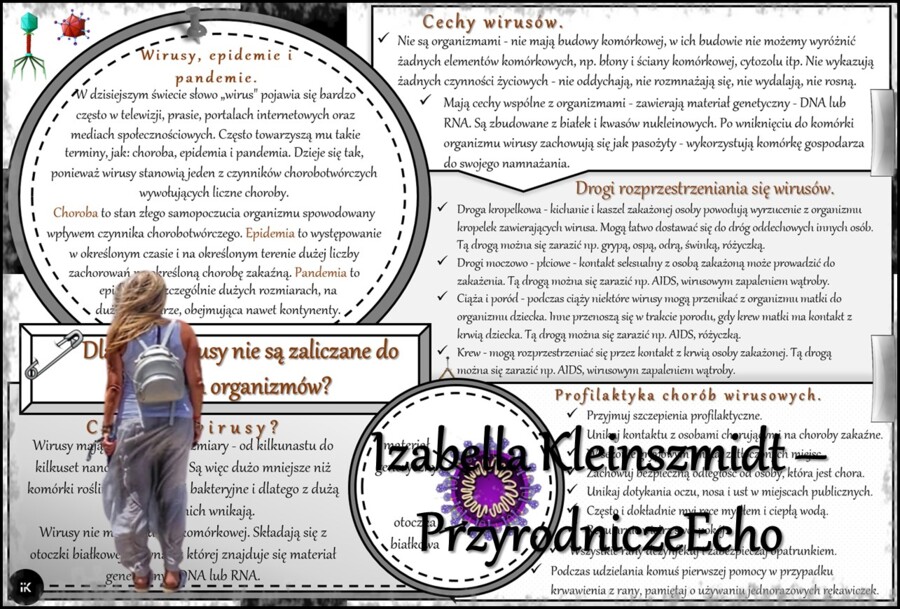 Zestaw sketchnotek/notatek/streszczeń/wklejek/ściąg dla ucznia i nauczyciela w pdf. Biologia 5 dział „Klasyfikacja i systematyka. Wirusy. Bakterie. Prostisty. Grzyby.”. Notatki zostały wykonane na podstawie podręcznika z wydawnictwa WSiP.