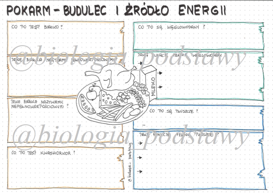 Klasa 7 - Pokarm budulec i źródło energii