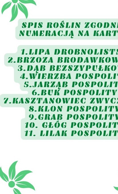 Szybkie rączki - drzewa liściaste