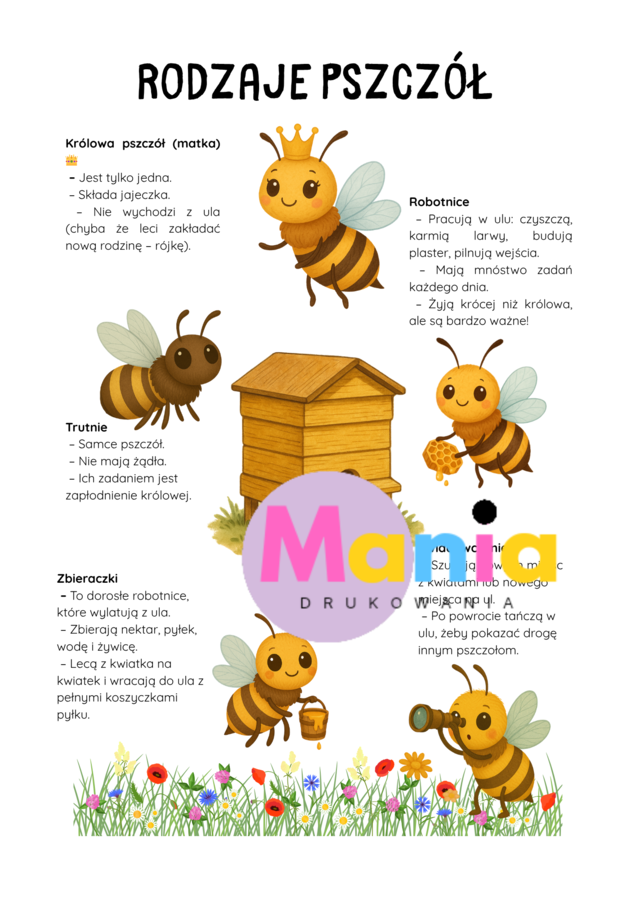 Światowy Dzień Pszczół