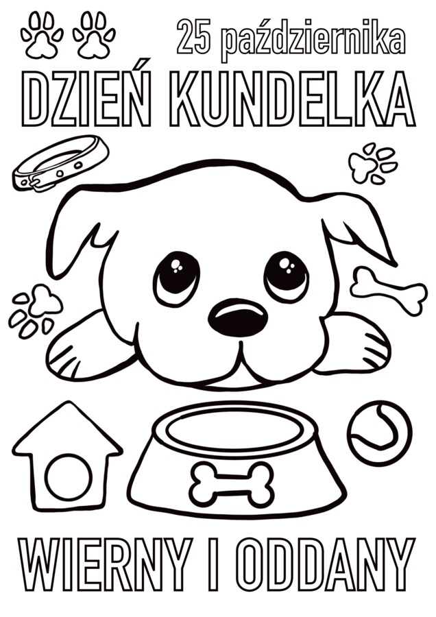 Dzień Kundelka - plakat, opaski