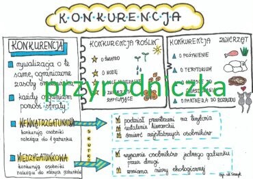 Klasa 8. Biologia. Konkurencja