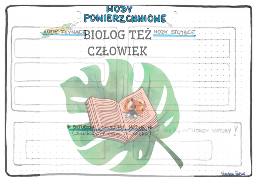 WODY SŁODKIE - Wody powierzchniowe - kolor