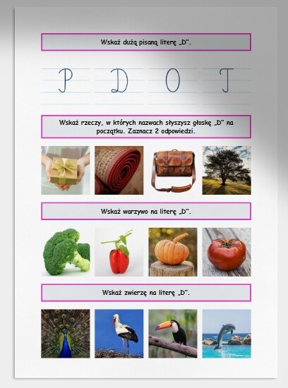 D i d. Karta pracy. Sprawdzian