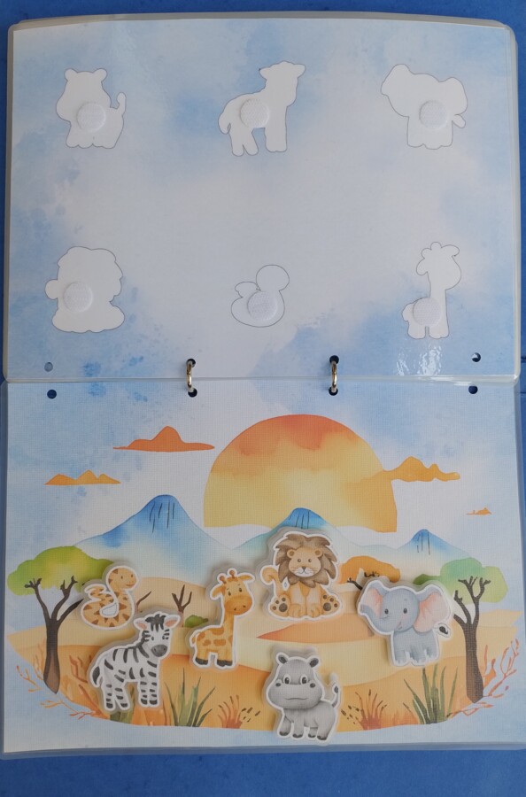 Zwierzęta i ich cienie