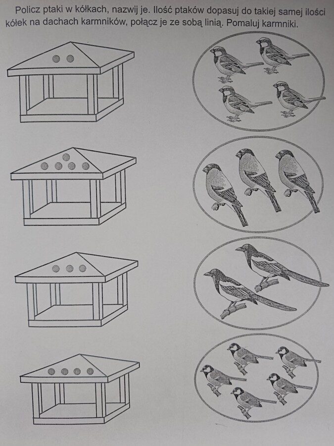 Ptaki zimą karty pracy