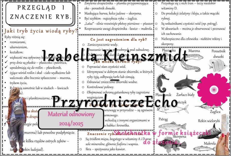 Sketchnotka/książeczka/notatka/wklejka/ściąga dla ucznia i przypomnienie dla nauczyciela/edukacja domowa. Temat „Przegląd i znaczenie ryb”. Materiał w pdf. Biologia 6, dział „Kręgowce zmiennocieplne”. Nowość 2024/2025.