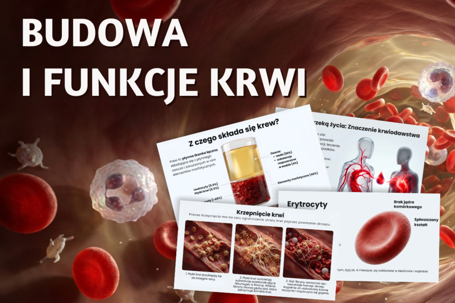 BUDOWA I FUNKCJE KRWI - prezentacja, lekcja - klasa 7, quiz, biologia, Puls Życia