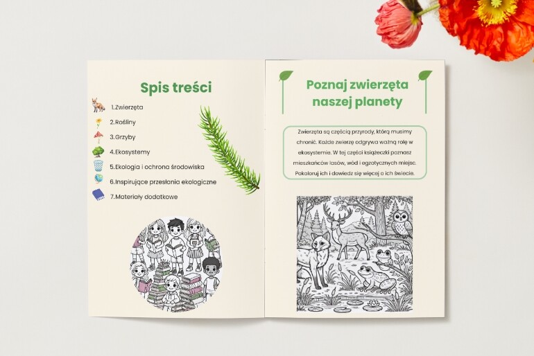 Kolorowanki. Zwierzęta. Rośliny. Grzyby. Ekosystemy