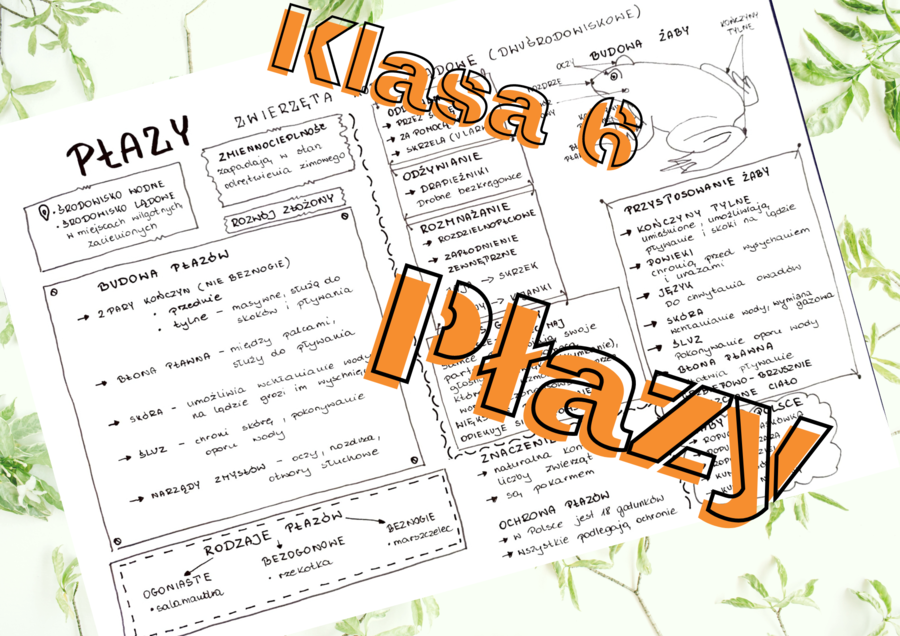 Klasa 6. Biologia. Płazy