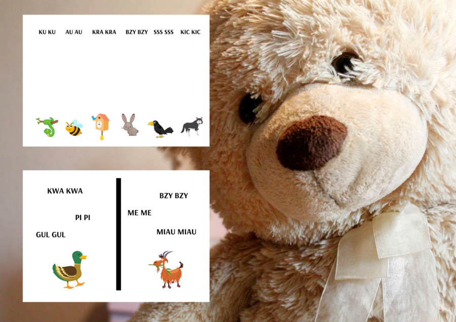 Ćwiczenia z Pluszowym Misiem ???? Samogłoski i wyrazy dźwiękonaśladowcze – zwierzątka