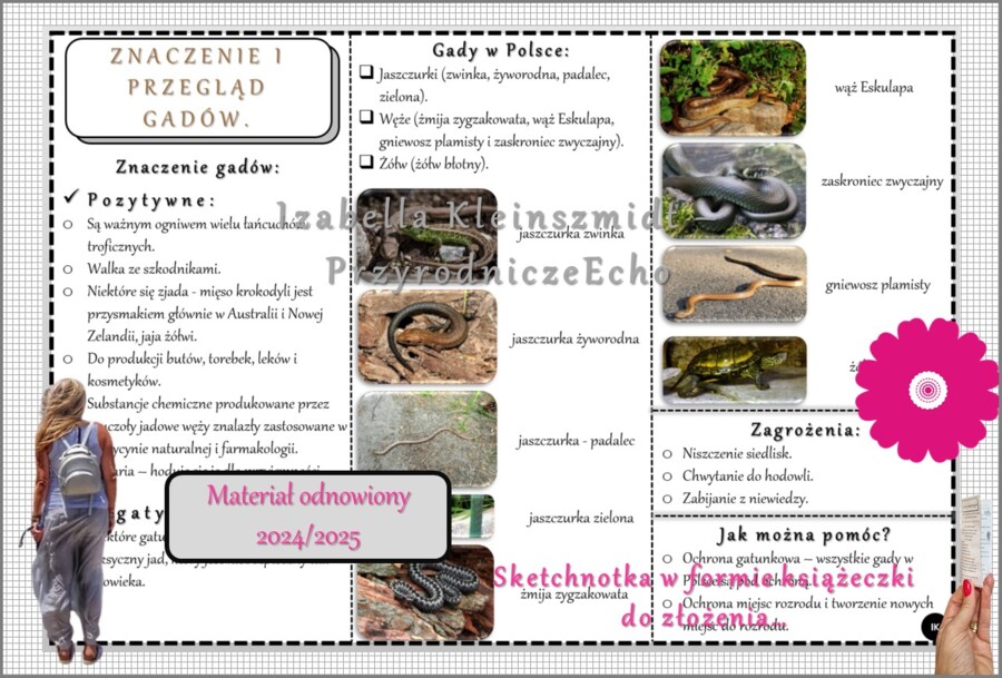 Sketchnotka/książeczka/notatka/wklejka/ściąga dla ucznia i przypomnienie dla nauczyciela/edukacja domowa. Temat „Przegląd i znaczenie gadów”. Materiał w pdf. Biologia 6, dział „Kręgowce zmiennocieplne”. Nowość 2024/2025.