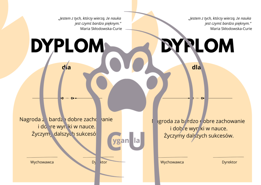 Dyplomy / wkładki na zakończenie roku szkolnego