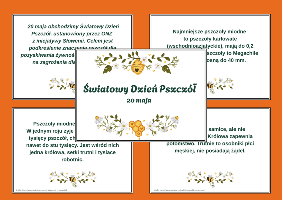 DZIEŃ PSZCZÓŁ – ciekawostki o pszczołach – wiosna – GAZETKA – biblioteka – świetlica – 13 stron – wersja 2