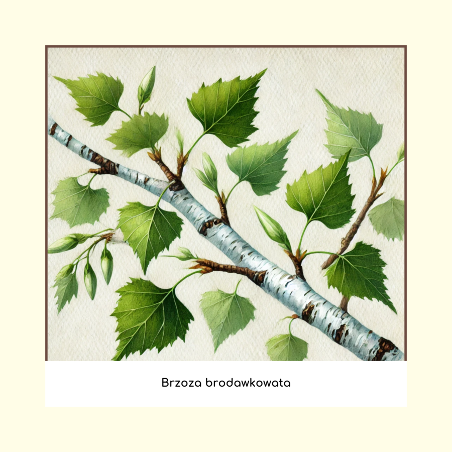 Ekologiczne memory (gra edukacyjna)