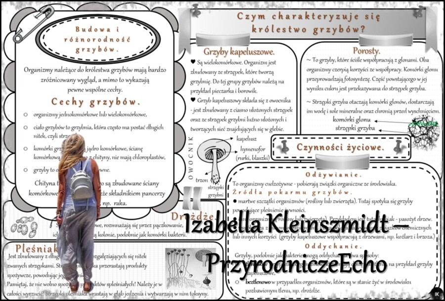 Sketchnotka/notatka/streszczenie/wklejka/ściąga dla ucznia i nauczyciela. Temat „Czym charakteryzuje się królestwo grzybów?” w pdf. Biologia 5 dział „Klasyfikacja i systematyka. Wirusy. Bakterie. Prostisty. Grzyby.”. Wykonana na podstawie podręcznika z w