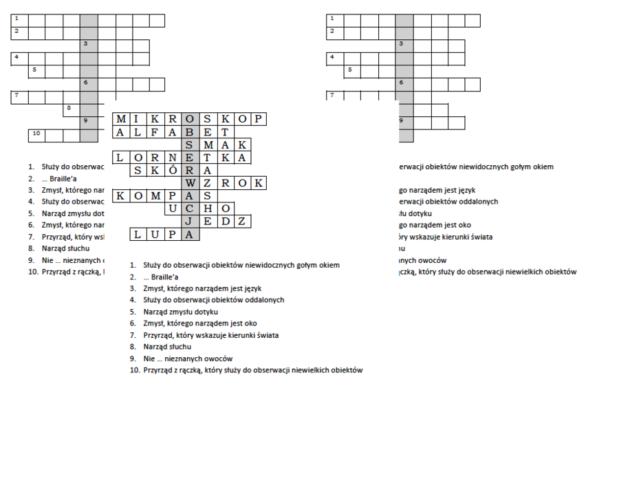 Logogryf dla klasy 4 na podsumowanie lekcji o przyrządach i pomocach przyrodnika