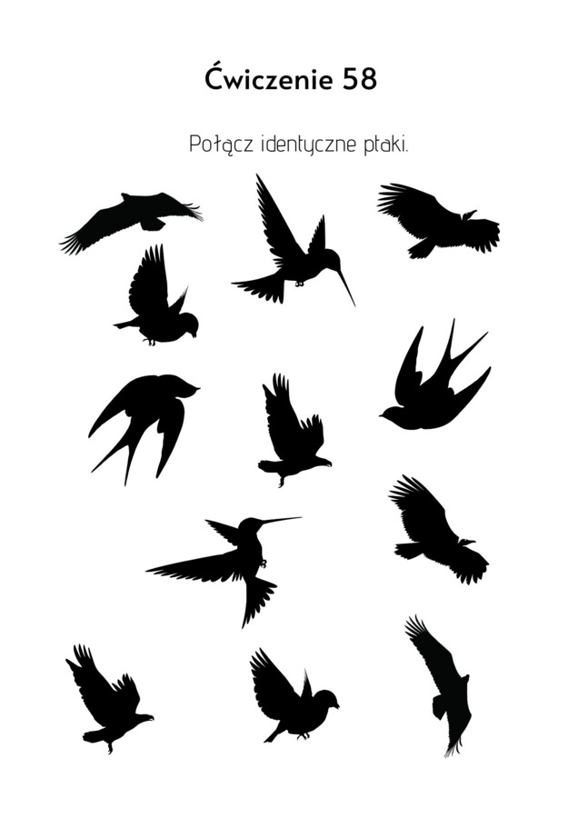 Ćwiczenia rozwijające umiejętności poznawcze dla przedszkolaków. Część 1