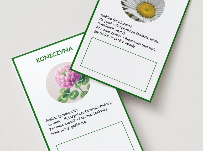 Zabawa w "łańcuch pokarmowy"