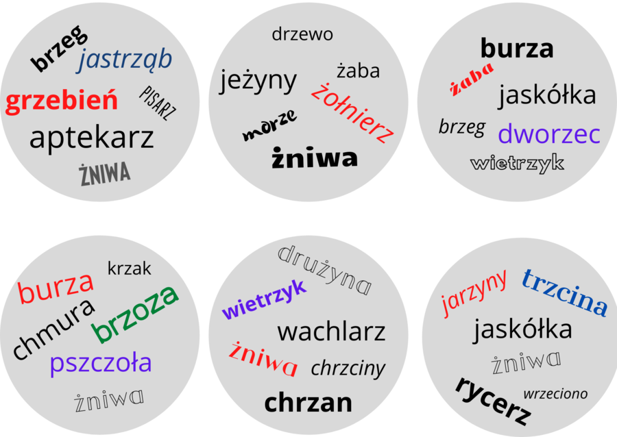 Gra Dobble ortograficzne - wersja stonowana