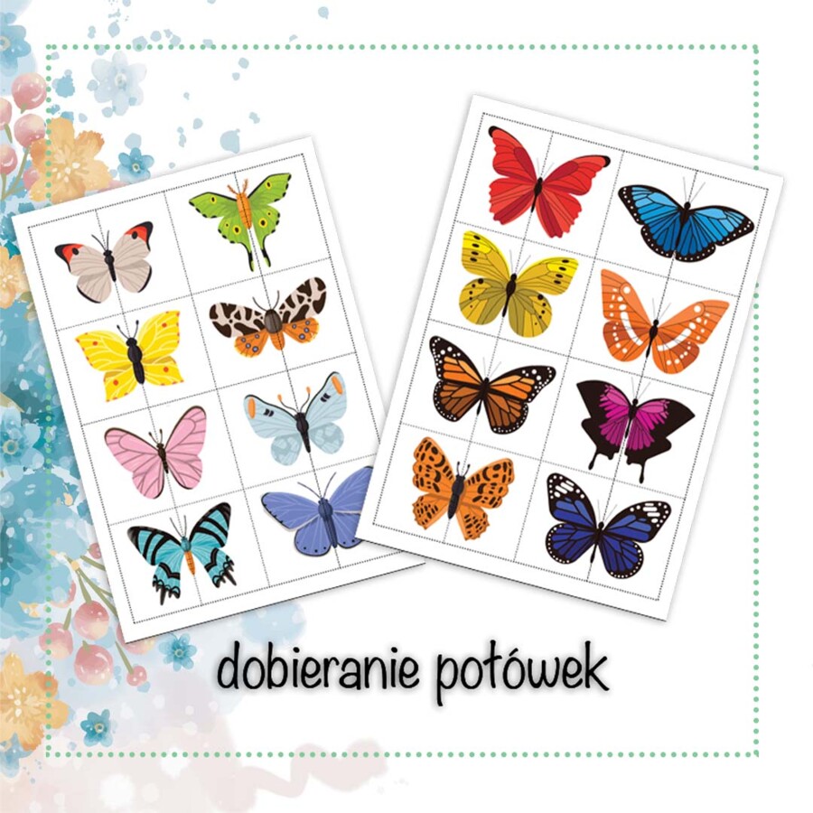 Wyszukiwanie i dobieranie połówek motyli