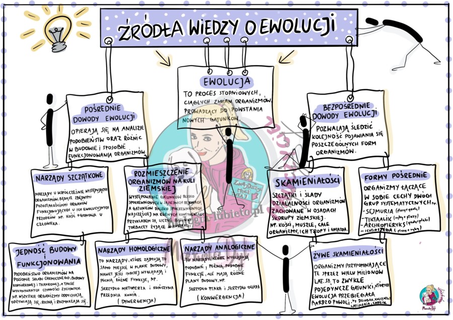 Ewolucja - Źródła wiedzy - klasa 8,  wklejka do zeszytu