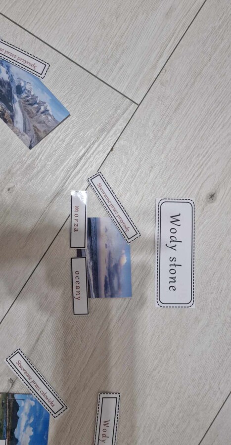 Materiał do zalaminowania/praca w grupach/stacje zadaniowe/układanka/puzzle „Wody słodkie i wody słone” w pdf. Przyroda, dział „Poznajemy krajobraz najbliższej okolicy”.