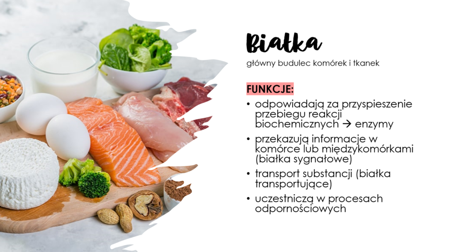 Układ pokarmowy 3 KLASA ROZSZERZONA BIOLOGIA