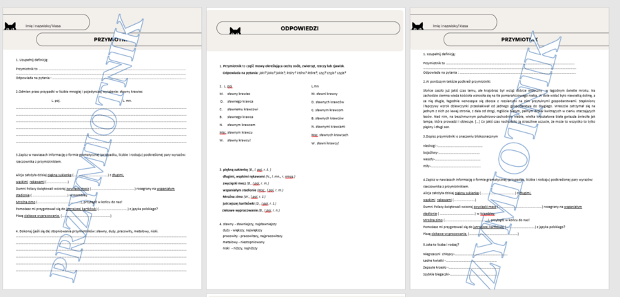 Przymiotnik kartkówka klasa 4/5
