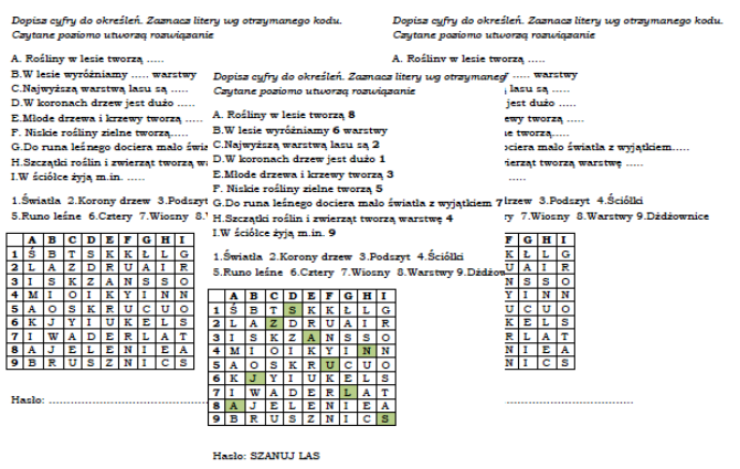 Warstwy lasu- łamigłówka dla klasy 4