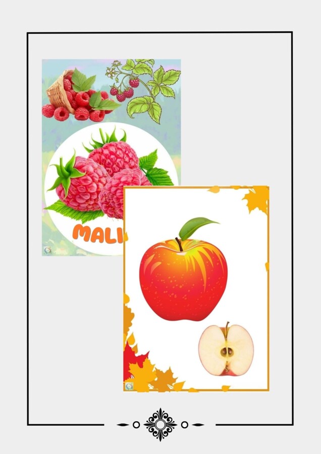 JESIENNE WARZYWA I OWOCE. PLANSZE I KOLOROWANKI.