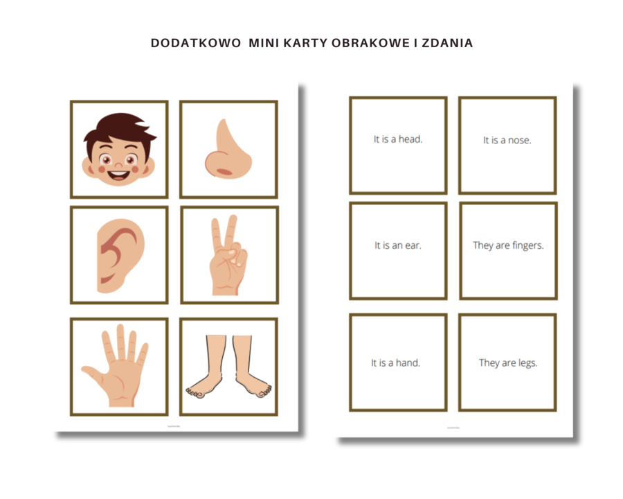 Karta Pracy, Części ciała, Body Parts, Liczba mnoga i Zaimki He/ She oraz zworty has got/ hasn't got/ Has ... got ?