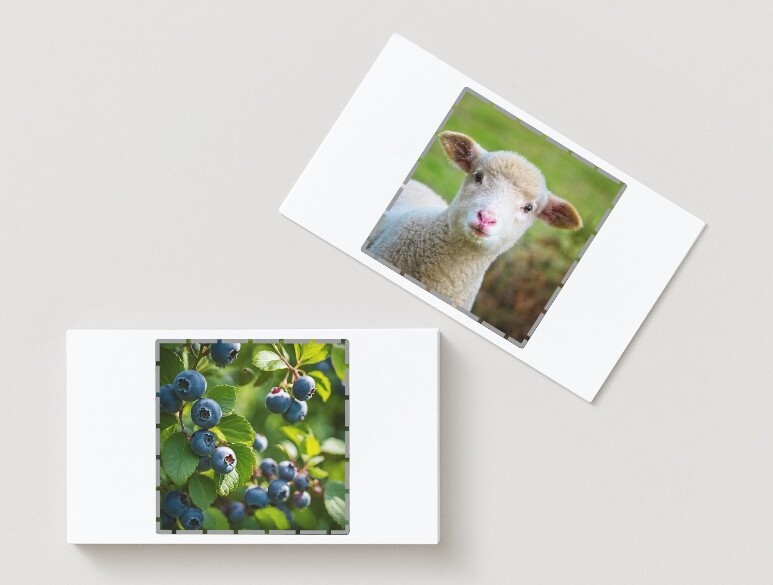 Puzzle łańcucha pokarmowego