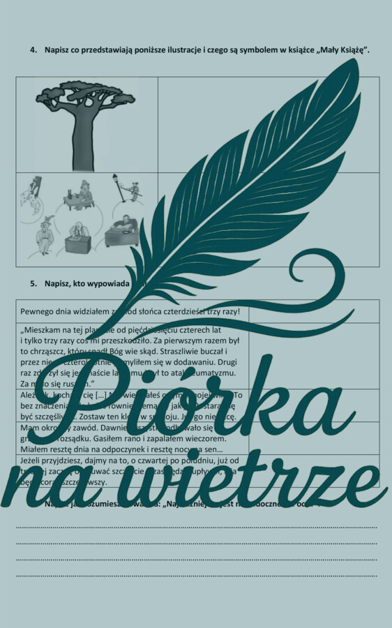 Test znajomości lektury - Mały Książę