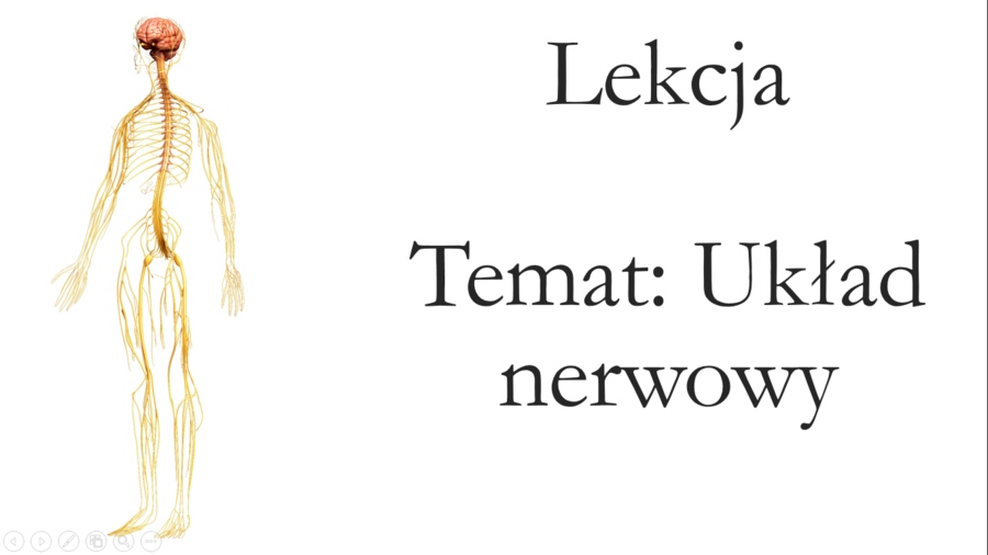 Klasa 4 - Układ nerwowy - prezentacja