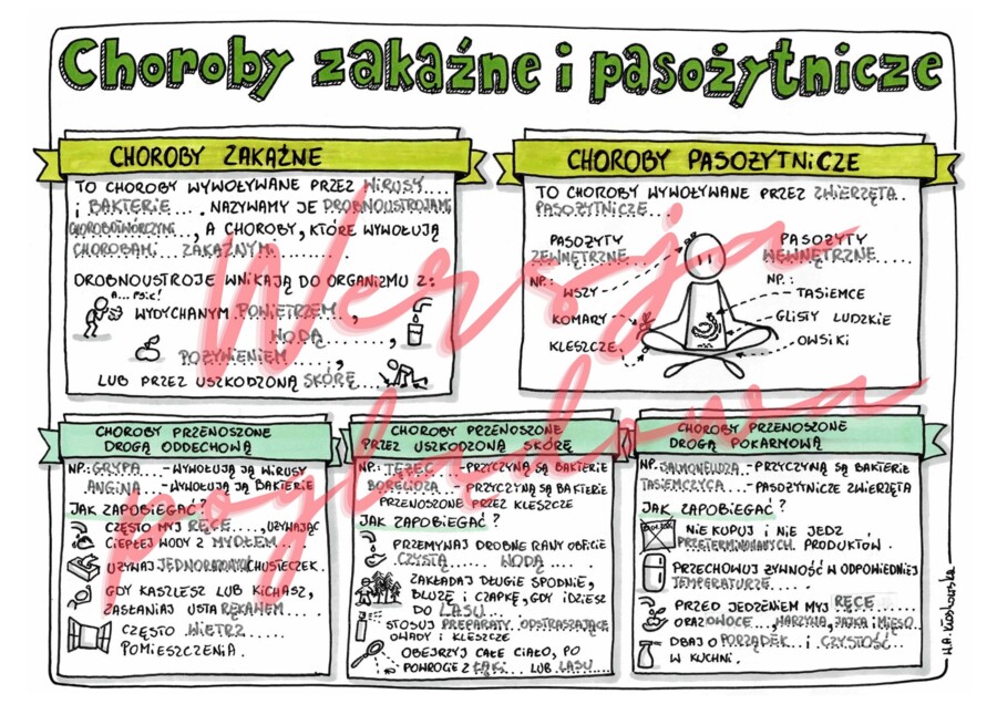 Choroby zakaźne i pasożytnicze - przyroda kl. 4 - wypełniona karta pracy