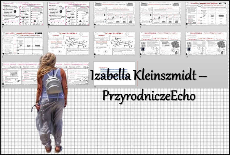 Zestaw sketchnotek i kart pracy + gratisowe linki do prezentacji multimedialnych niekomercyjnych wykonanych w genial.ly do indywidualnego pobrania i użycia do celów niekomercyjnych. Biologia 6, „Świat zwierząt”