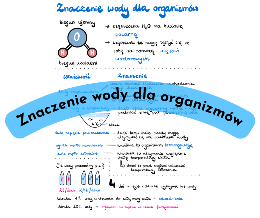 Znaczenie wody dla organizmów karta pracy/notatka/zadanie/eksperyment