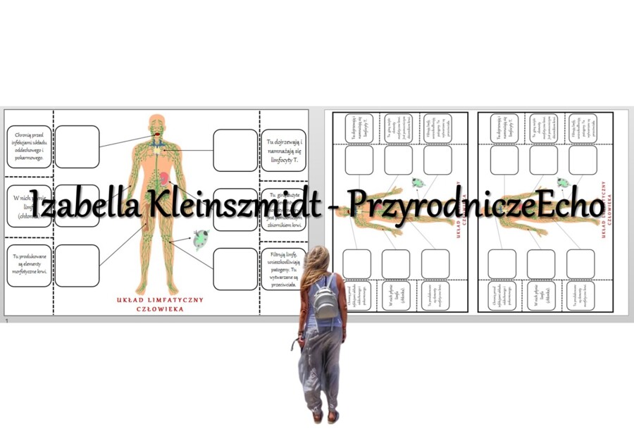 Notatka okienkowa „Układ limfatyczny”. Biologia 7. „Układ krążenia”.