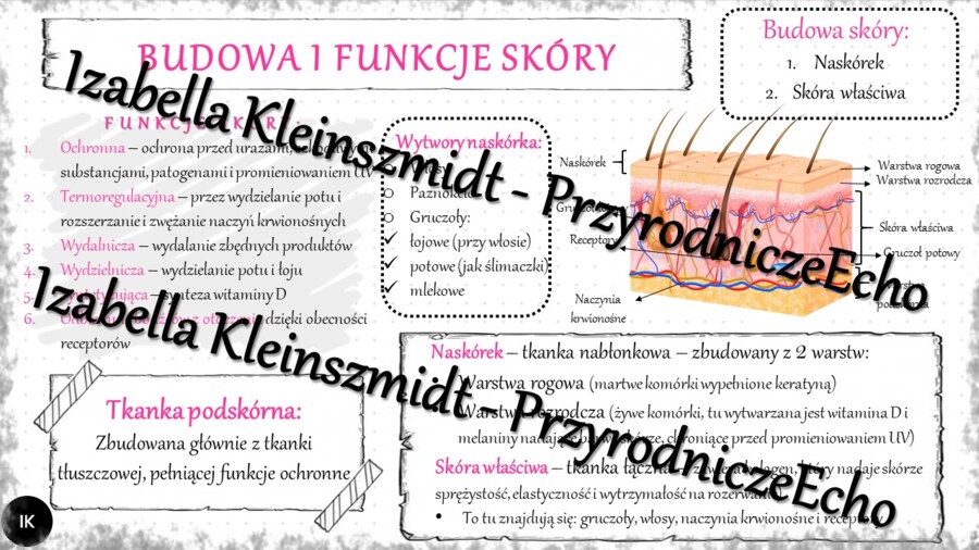 Sketchnotka - notatka „Budowa i funkcje skóry” wykonana w power point do edycji. Biologia 7; „Organizm człowieka. Skóra”