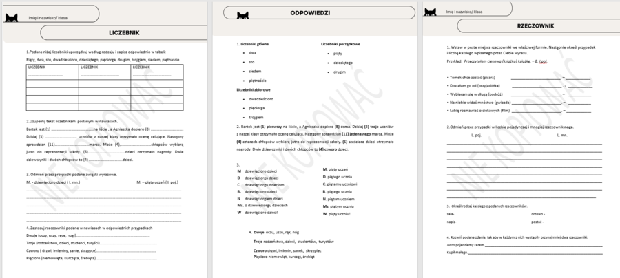 Odmienne części mowy - rzeczownik, czasownik, przymiotnik, liczebnik - zestaw kartkówek dla klasy 4/5