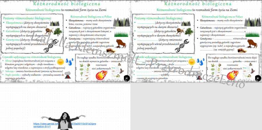 Mini zestaw do tematu „Różnorodność biologiczna”- sketchnotka + karta pracy + gratisowy link do prezentacji multimedialnej niekomercyjnej wykonanej w genial.ly do indywidualnego pobrania i użycia do celów niekomercyjnych. Biologia klasa 8, dział IV „Czło