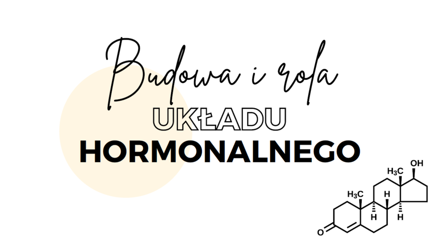 Układ hormonalny 3 KLASA ROZSZERZENIE BIOLOGIA
