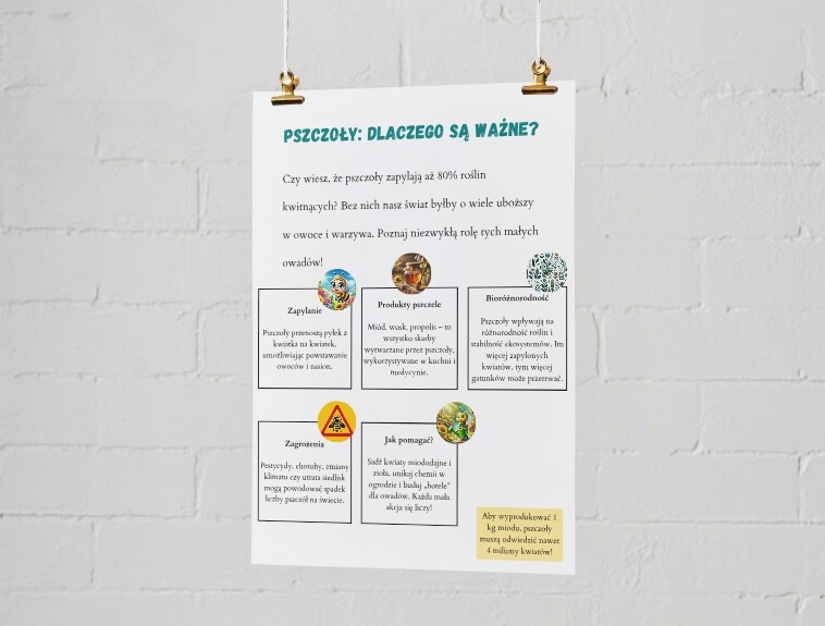 Infografiki edukacyjne. Zasady segregacji odpadów. Obieg wody w przyrodzie. Dlaczego pszczoły są ważne?